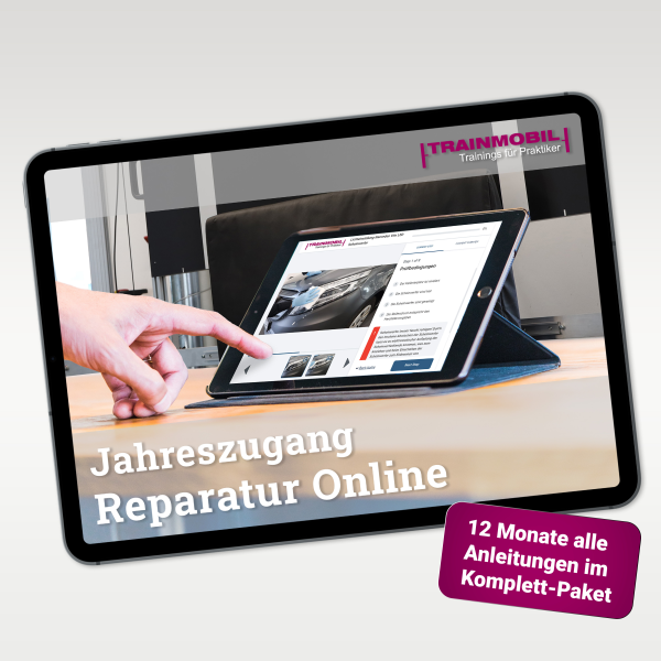 Jahreszugang Reparatur Online