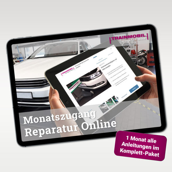 Monatszugang Reparatur Online